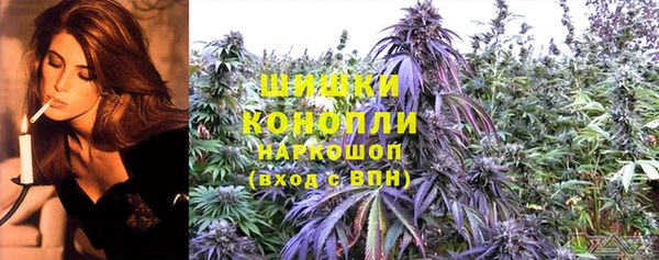 ECSTASY Осинники