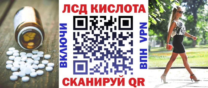 Купить закладки  Кудрово  ЛСД экстази ecstasy 