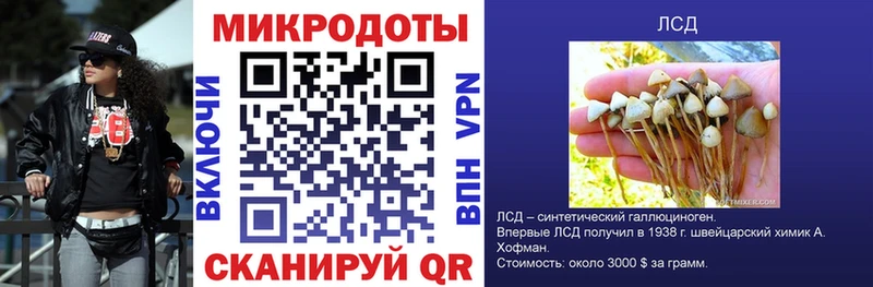 Галлюциногенные грибы GOLDEN TEACHER  Купить где  Кудрово 
